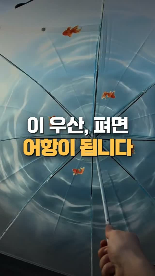 worldhot_item 게시물 이미지: 우산을 폈는데 어항이 생겼어요 🐠
빗방울이 물결무늬랑 겹치면 금붕어가 진짜 헤엄치는...