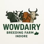 wowdairy 인스타그램 프로필 사진