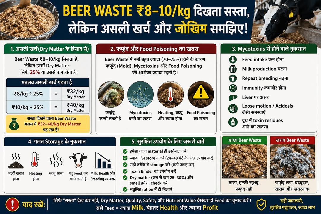 wowdairy 게시물 이미지: 🐄 Beer Waste सस्ता दिख सकता है…
लेकिन क्या...