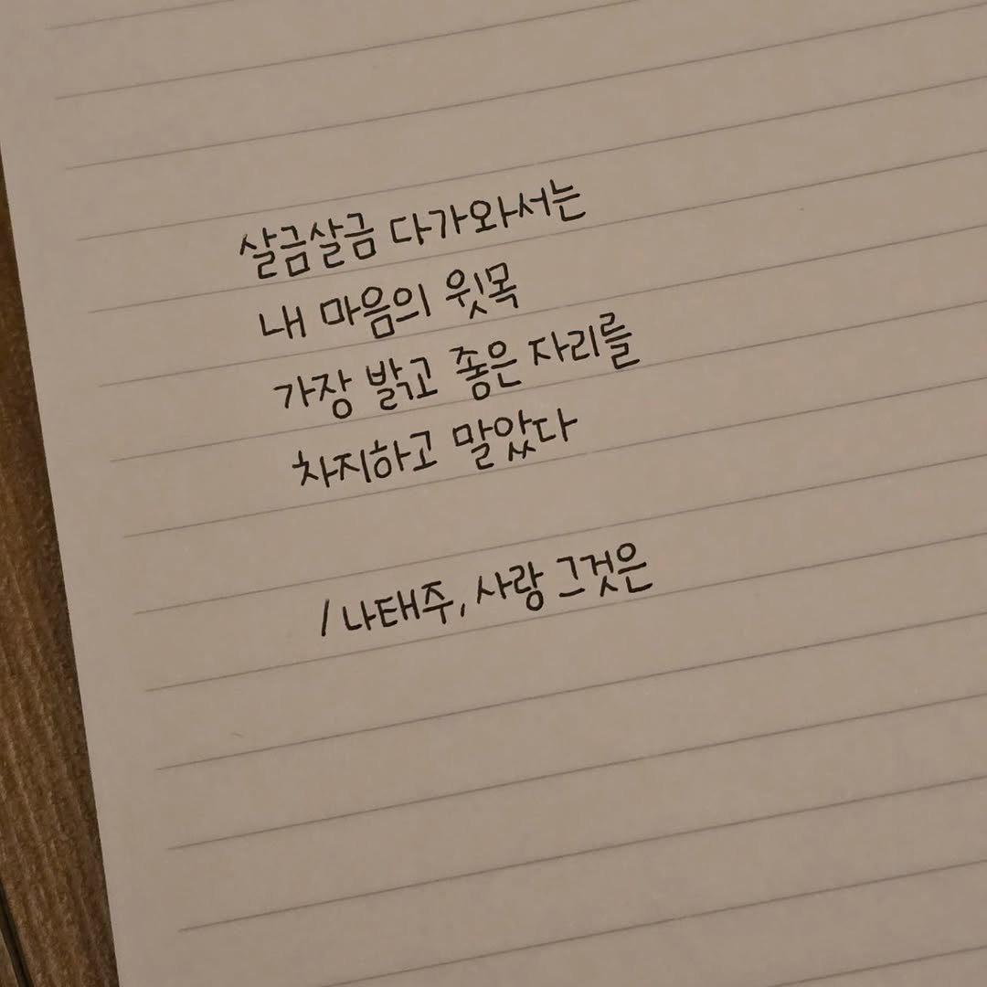 Photo by 희란 on November 07, 2024.