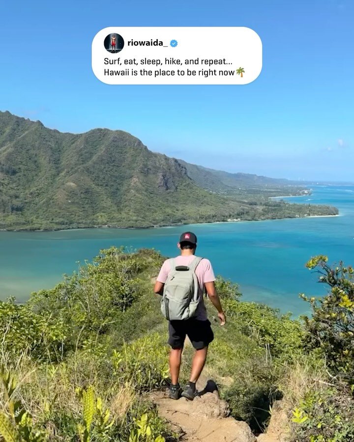 wsl 게시물 이미지: what have the world’s best been up to during...