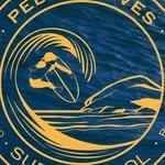 pedronevesurfschool 프로필 사진