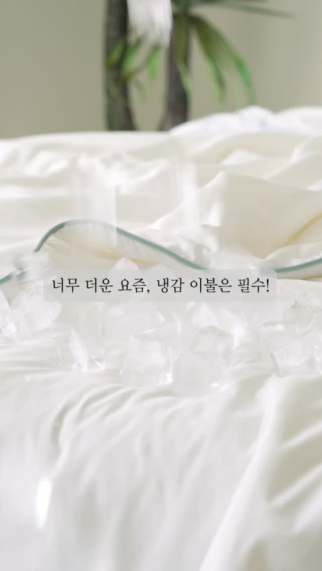 www_elenaheim_com 게시물 이미지: 너무 더운 요즘, 냉감 이불은 필수!

아직 냉감이불 못 고르셨다면
딱 하나만...