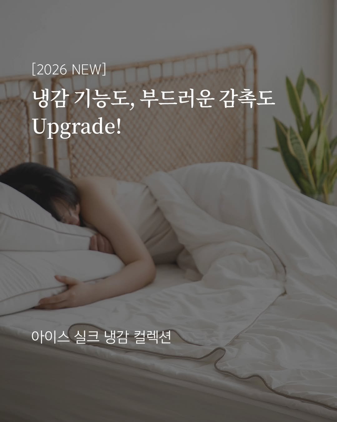 Photo by 엘레나하임 on April 22, 2026. May be an image of mattress and text that says '[2026 NEW] TomA 냉감 기능도, 부드러운 드러운감촉도 감촉도 Upgrade! 아이스 실크 냉감 컬렉션'.