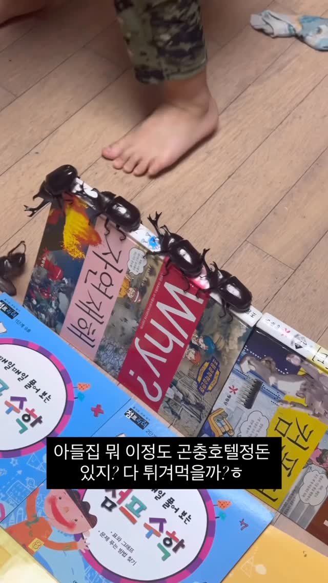 wwww.psh 게시물 이미지: 진짜 현타