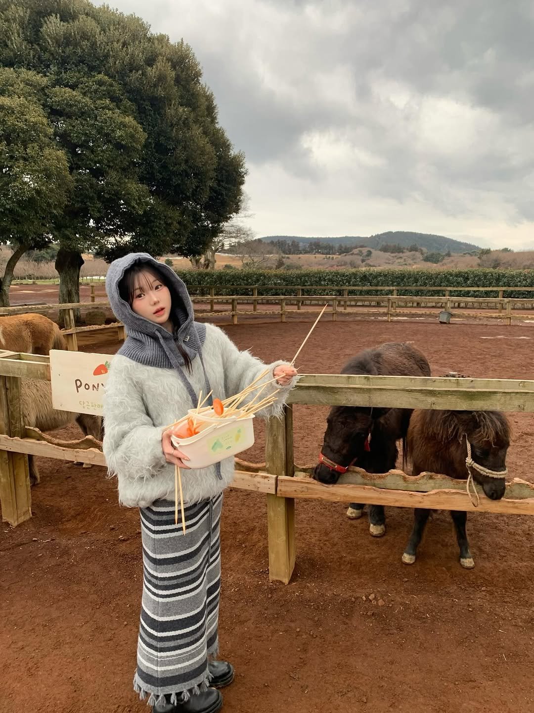 Photo by 강다인 on February 12, 2026. May be an image of camel, emu, ostrich, sheep and text.