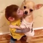 skdbalek 프로필 사진