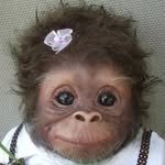 yumi_o77 프로필 사진