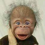 skdbalek 프로필 사진