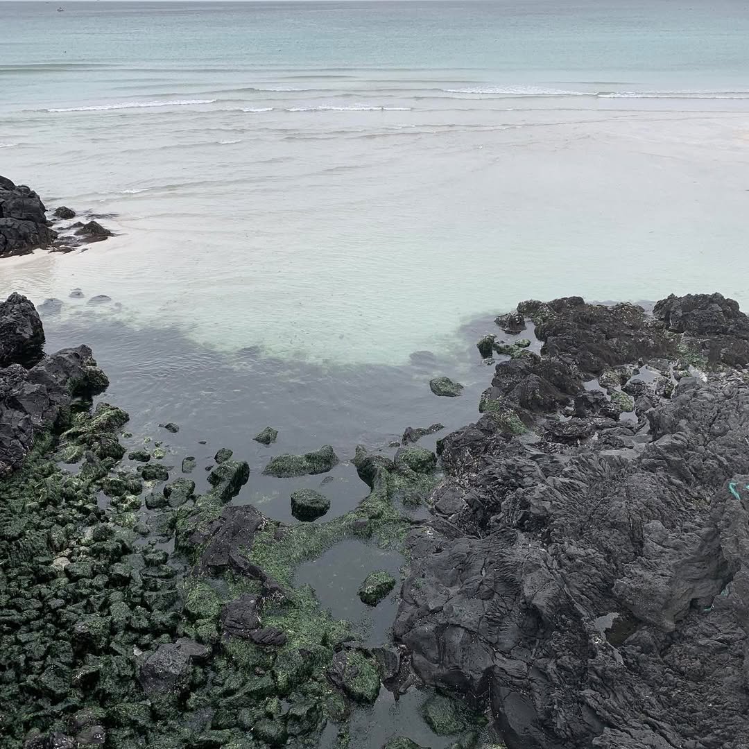 Photo by 박성웅 on January 06, 2023.