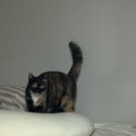 kyurimieo 프로필 사진