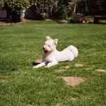 ggonekim 프로필 사진