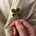 2janejane 프로필 사진