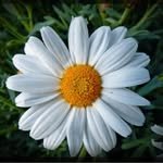 xfitx__ 인스타그램 프로필 사진