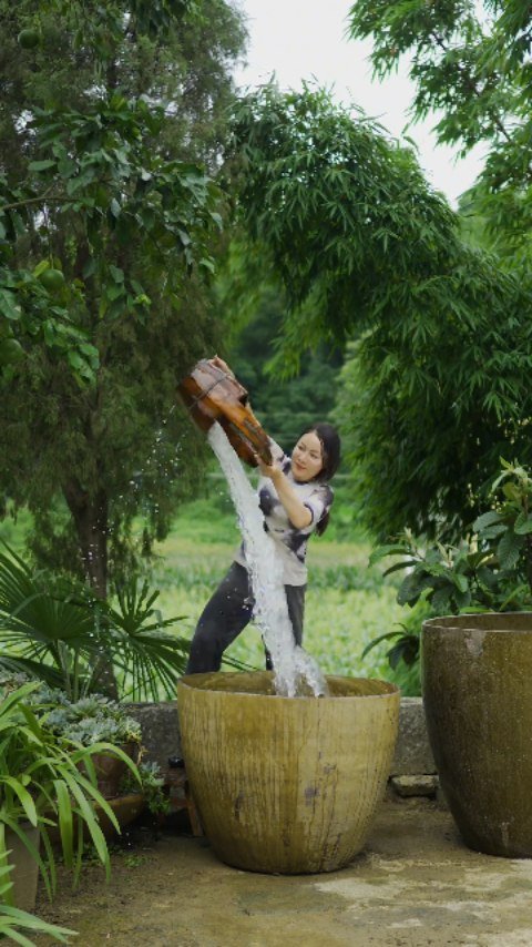 xie_xiaohuaa 게시물 이미지: Part 2 last: Inheritance of ancient soy sauce...