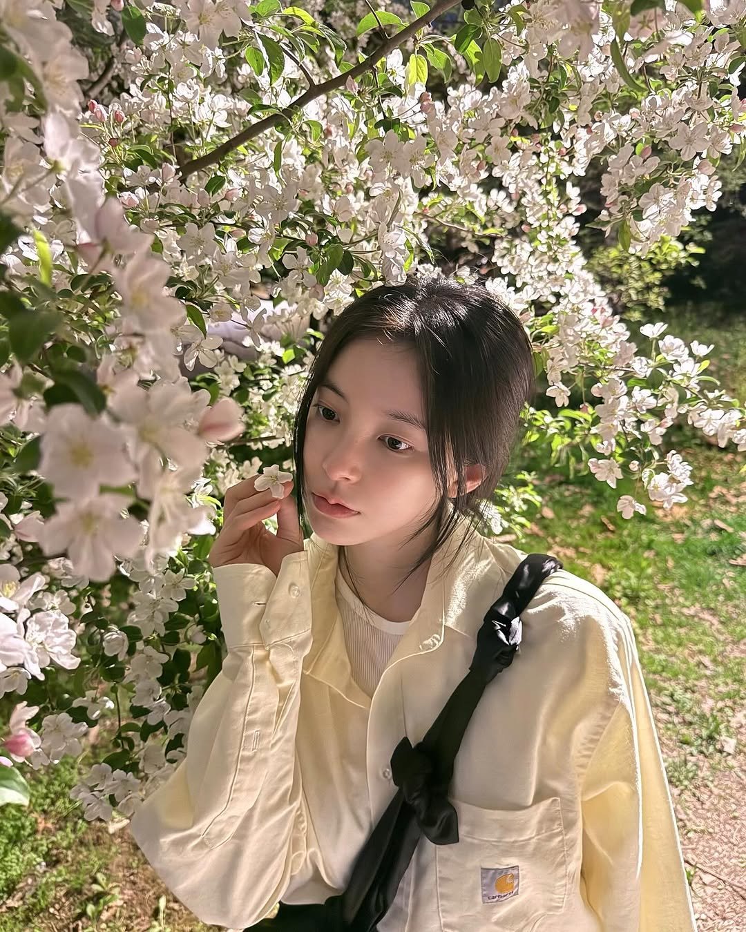 Photo by 신수현 on April 19, 2025.