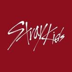 jypstraykids 프로필 사진