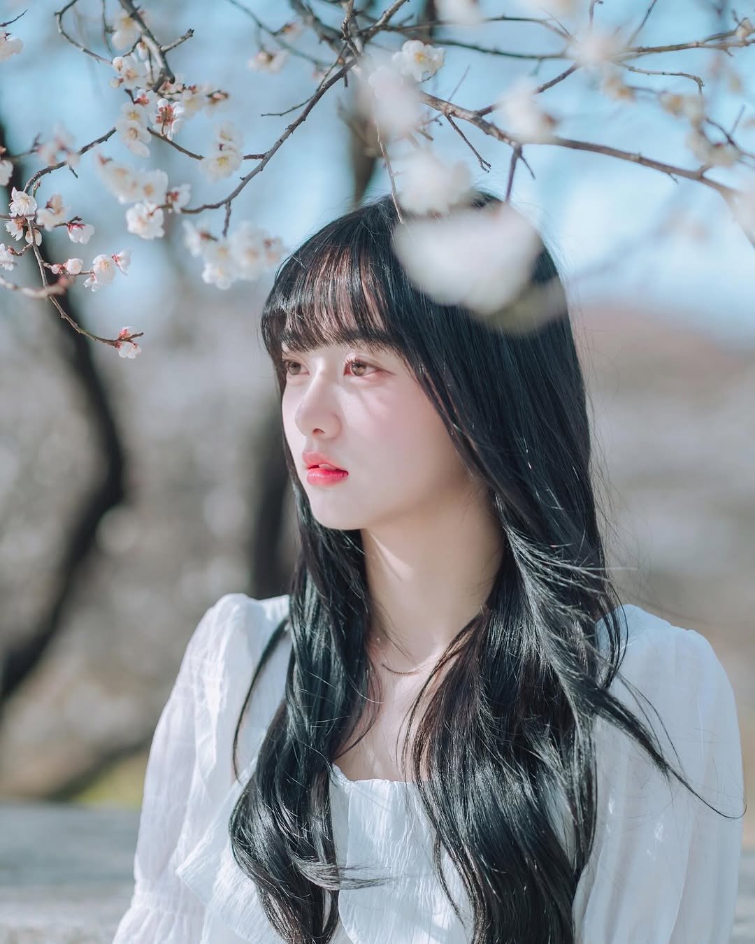 Photo shared by 안주미 on March 31, 2025 tagging @_jbright__.