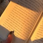 grace.han___ 프로필 사진