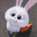 sarah_hwang 프로필 사진