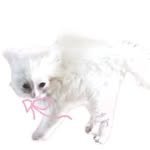 soyoixo 프로필 사진