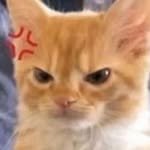 babekiki0000 프로필 사진