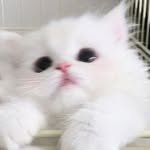 zzuu.___ 프로필 사진