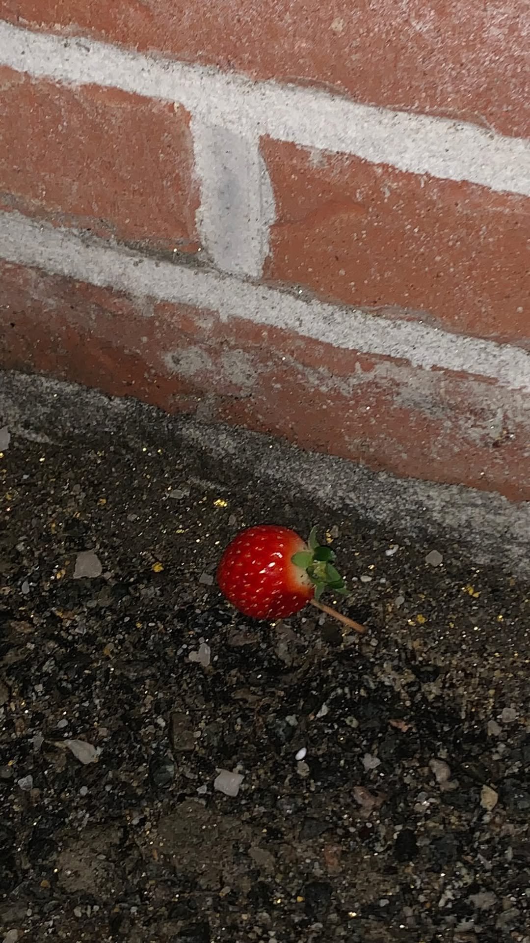 xouzxe_ 게시물 이미지: 추억