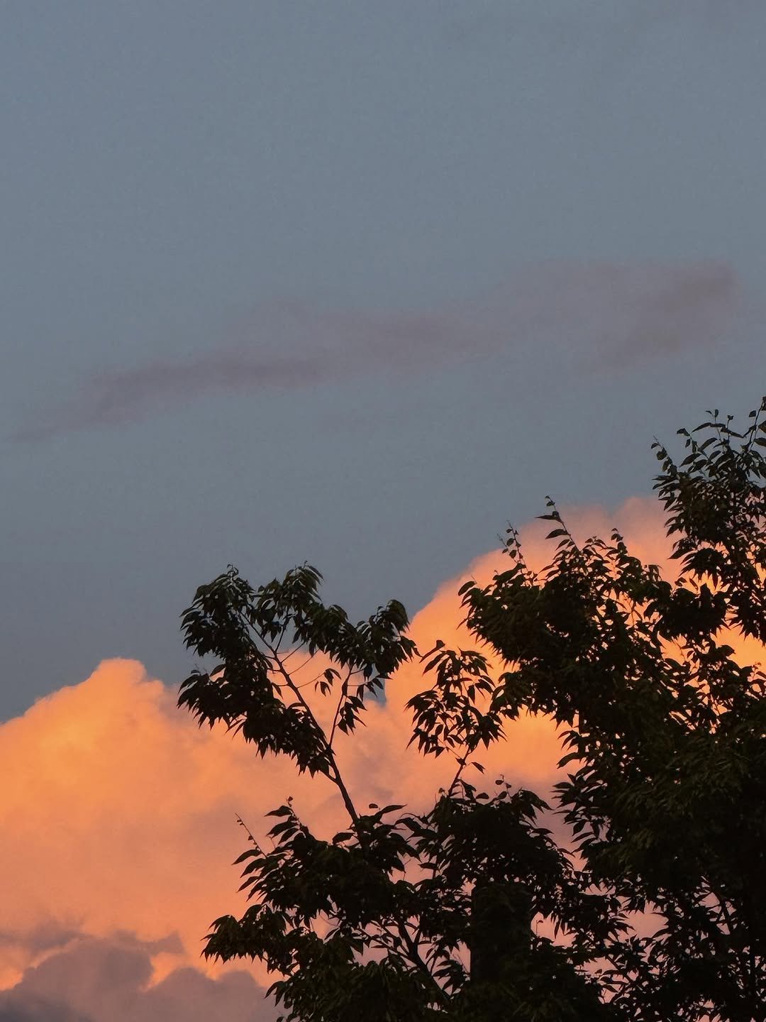 Photo by SEVENTEEN The8 on October 01, 2025. May be an image of cloud, tree, twilight and text.