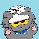 zonfriends_official 프로필 사진