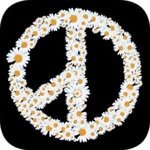 peaceminusonedotcom 프로필 사진