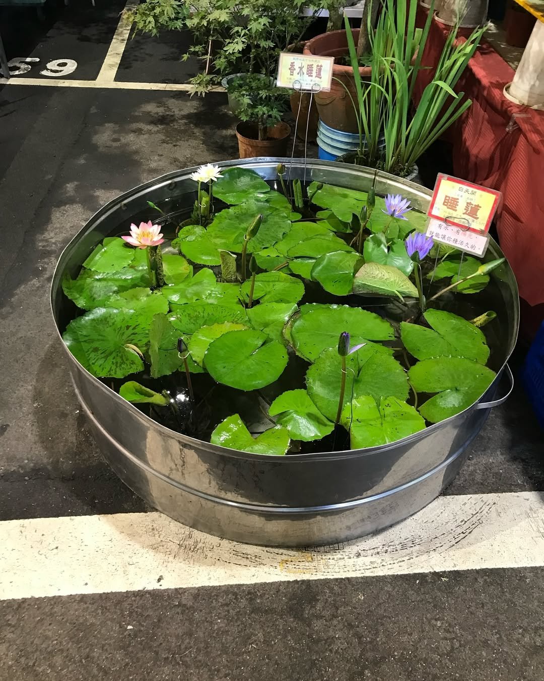 Photo by 연주 on June 27, 2024.