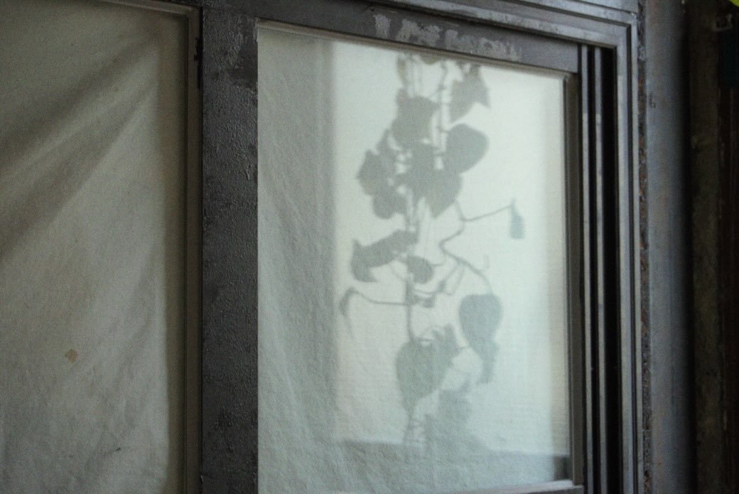 Photo by 연주 on January 05, 2026. May be an image of curtains, ivy, window and text.