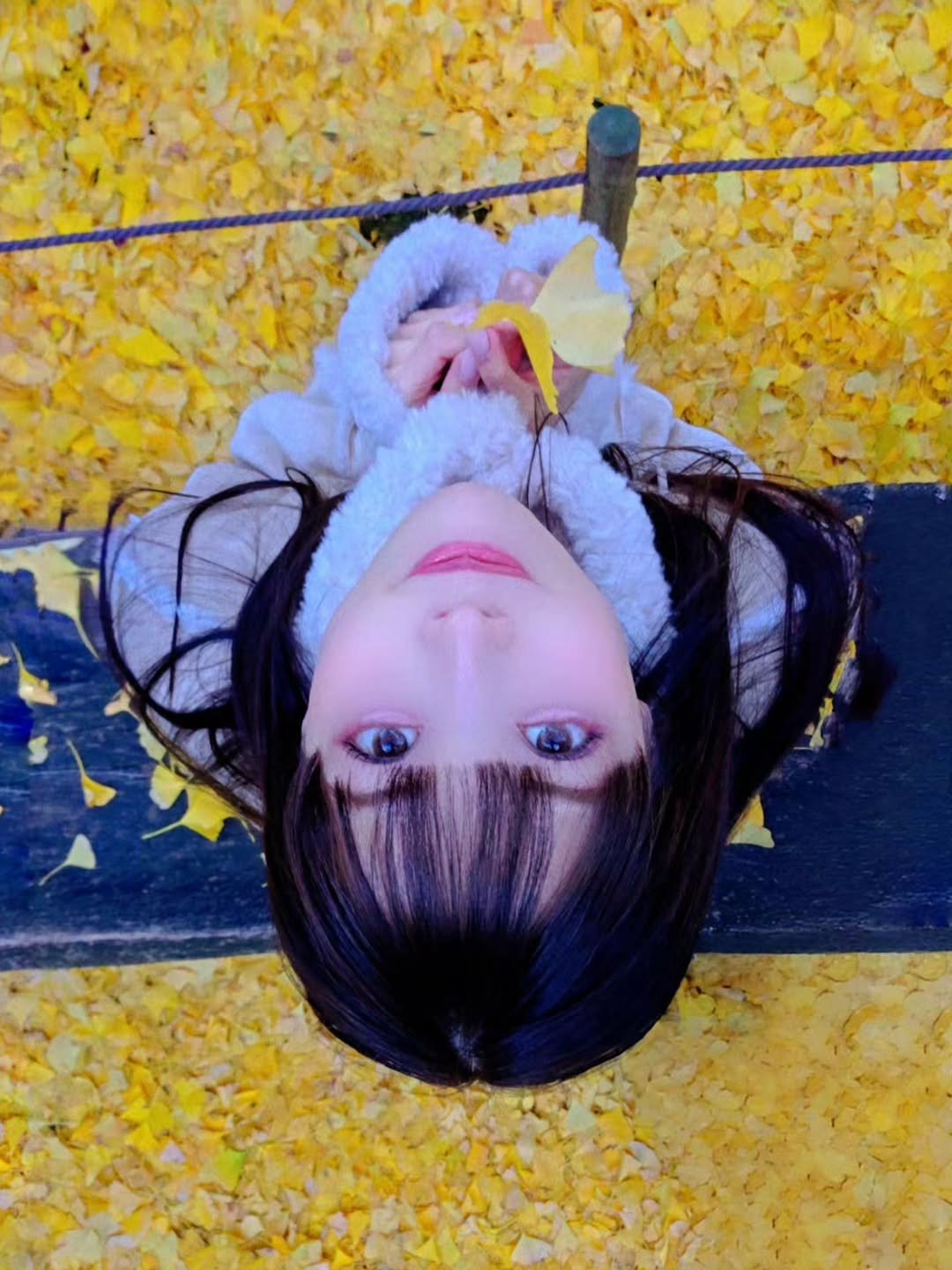 Photo by 八木奈々 on November 26, 2025. May be an image of devilwood and text.