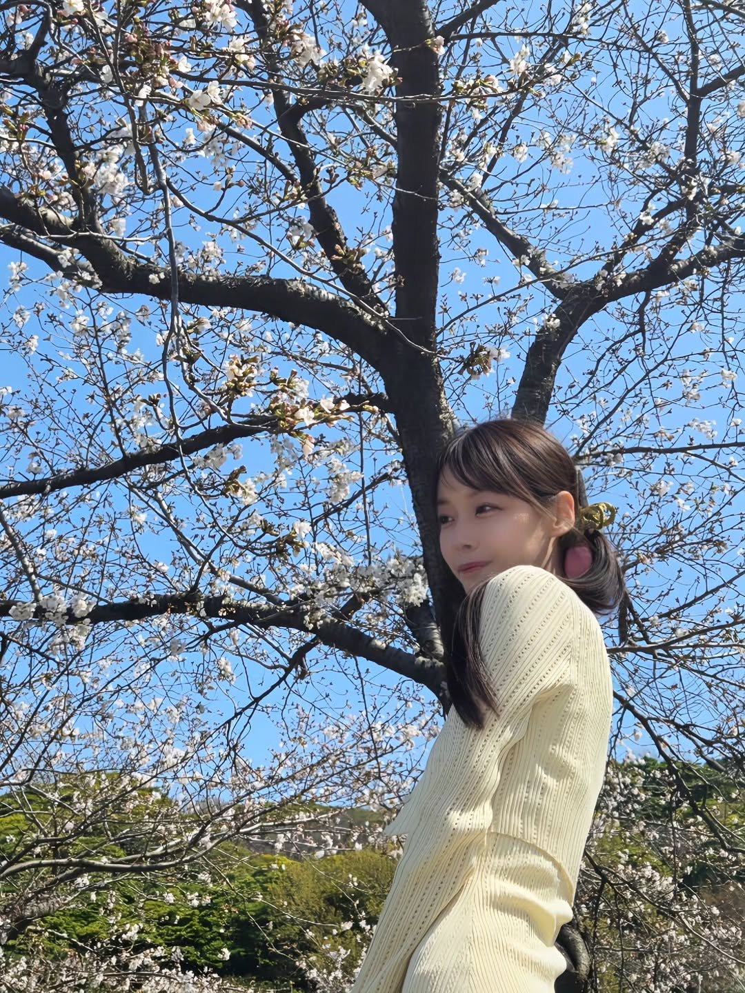 Photo by 八木奈々 on March 27, 2026. May be an image of stone-fruit tree and text.