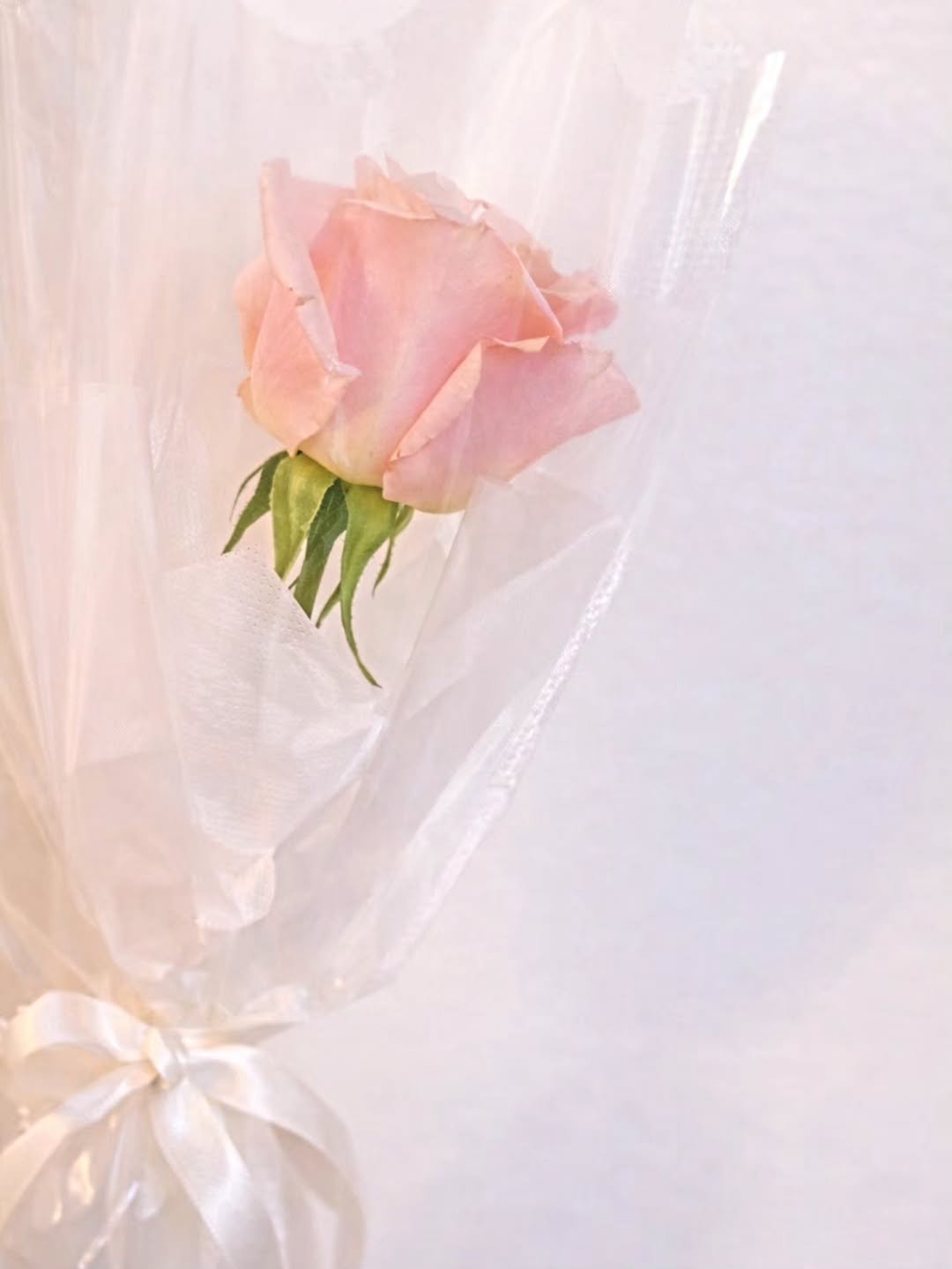 Photo by 八木奈々 on March 25, 2026. May be an image of bouquet, flower arrangement, prairie gentian, baby's-breath, peony, rose, carnation and text.