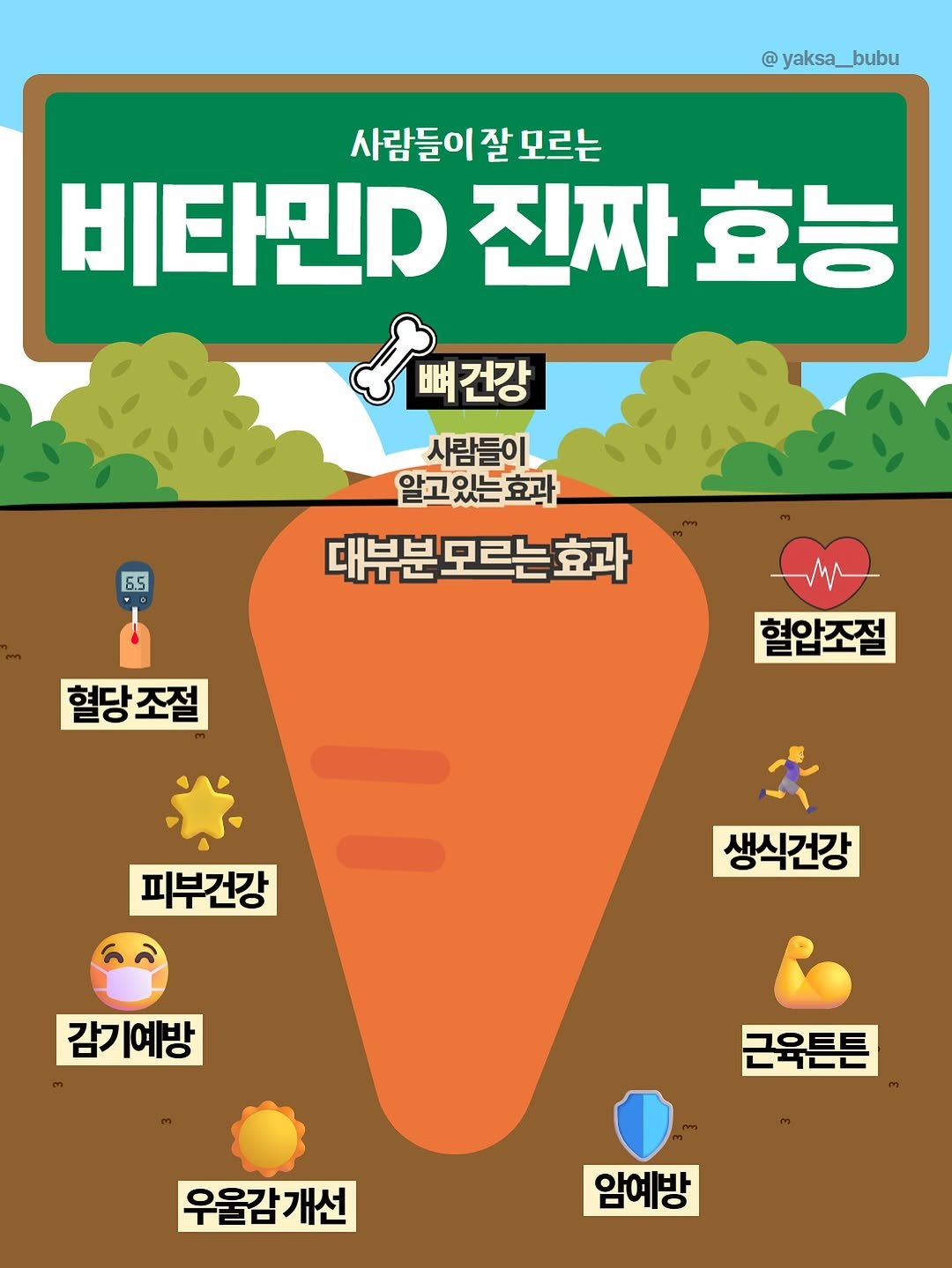Photo by 육아정보 건강정보 | 약사부부 on September 23, 2025. May be an illustration of vegetable, poster and text that says 'yaksa__bubu 사람들이잘모르는 모르는 비타민D 진짜 효능 뼈건강 出 뼈건강 사람들이 알고있는효관 있는 알고 대부분 대부분모르는효과 모르는 6.5 혈당조절 조절 M 혈압조절 - 피부건강 생식건강 7.ം 감기예방 예방 FOEE டடடட 우울감개선 개선 암예방'.