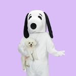 pet_yaksa 프로필 사진
