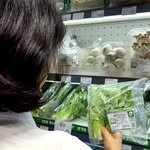 gunganghaejin 프로필 사진