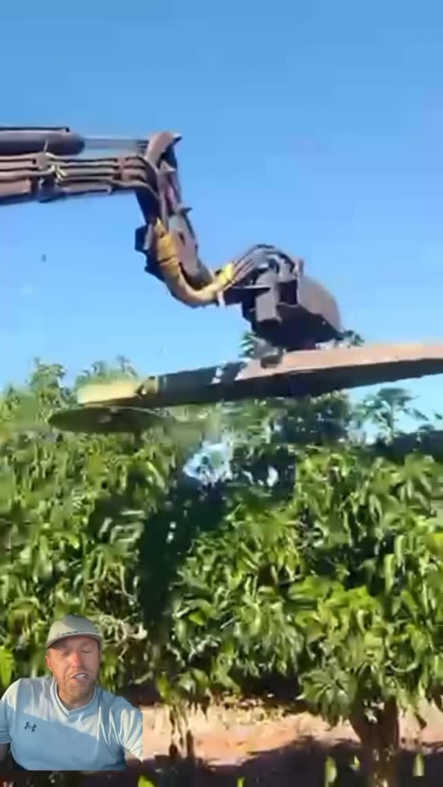 yallwatchthis_ 게시물 이미지: Here we go