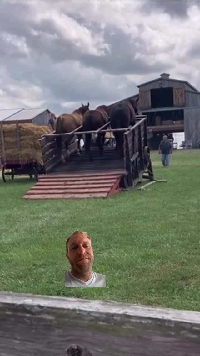 yallwatchthis_ 게시물 이미지: Now that’s what you call horsepower