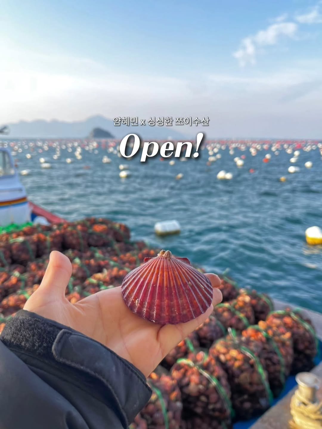 Photo by 얌혜민 | YAM HYEMIN on December 02, 2025. May be an image of shellfish and text that says '얌혜민 x X 싱싱한 쪼이수산 Open!'.