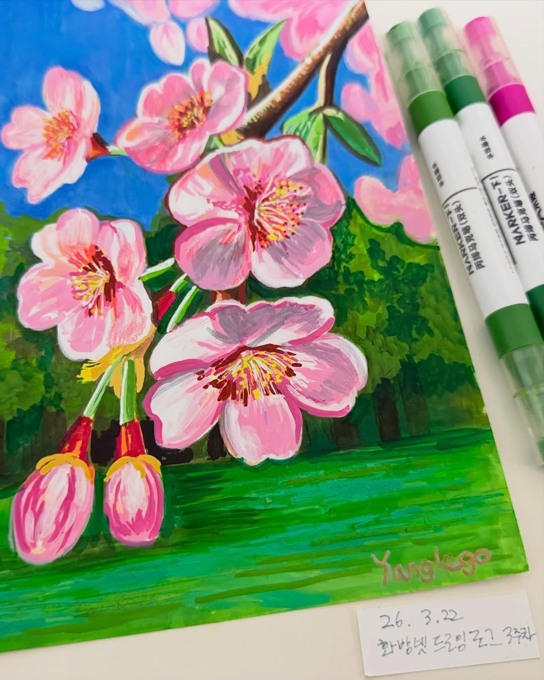 Photo shared by 양레고 YANGLEGO | 마카 아트 on March 22, 2026 tagging @hwabangnet, @fabercastell_kr, and @miyahimi.kr. May be an image of marker, stone-fruit tree and text.