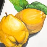 yanglego_ 인스타그램 프로필 사진