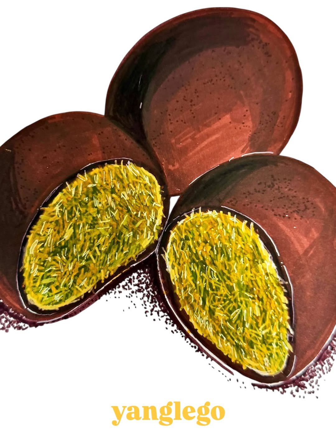 Photo by Yanglego | 그림ㅣ마카 드로잉 on December 31, 2025. May be an image of mango, mangosteen, longan and text that says 'N0a yanglego'.