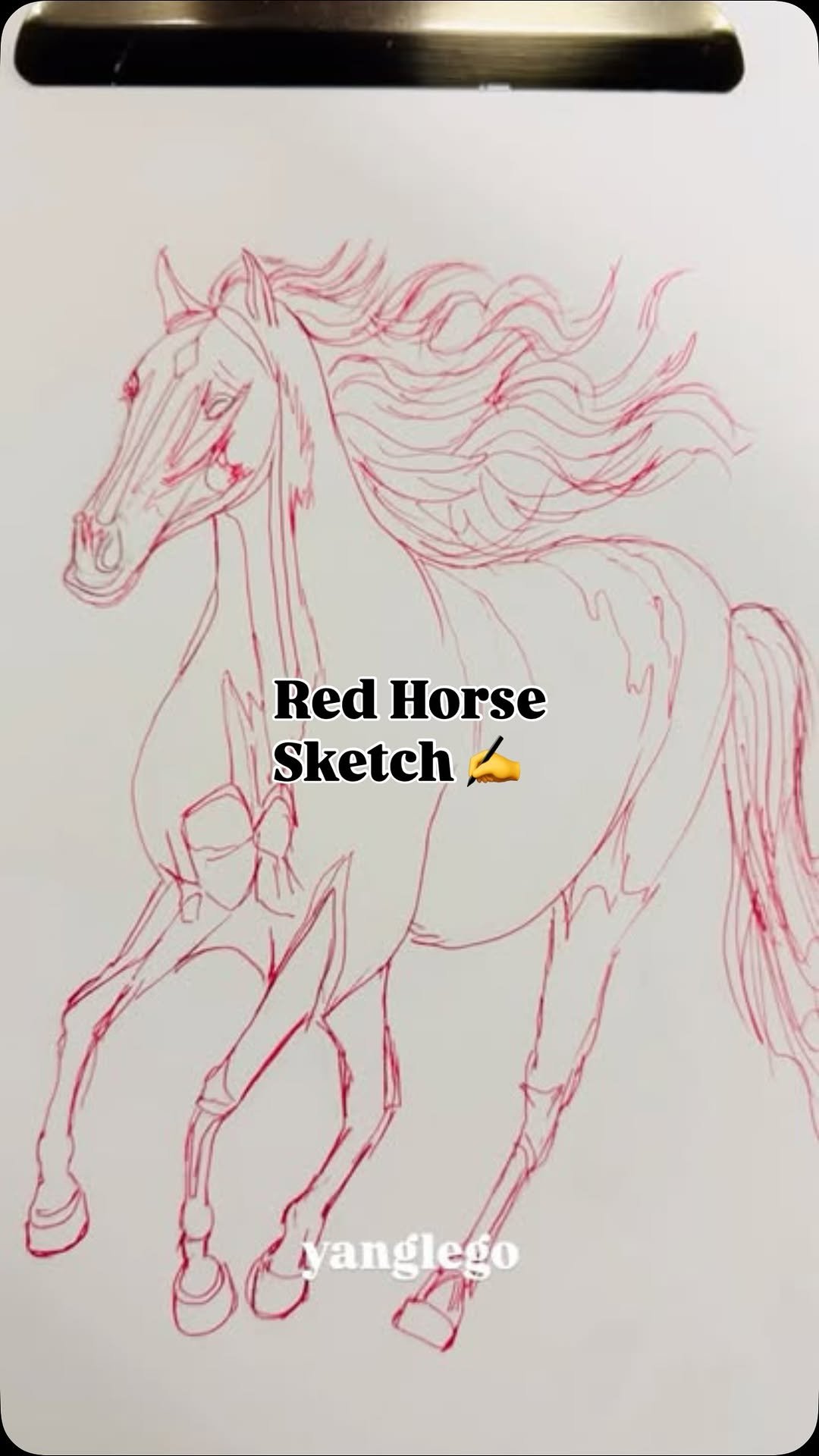 yanglego_ 게시물 이미지: ”한 번 시작하면 멈출 수 없는 스케치 🐎“

사각사각, 연필 끝에서 피어나는 선들...