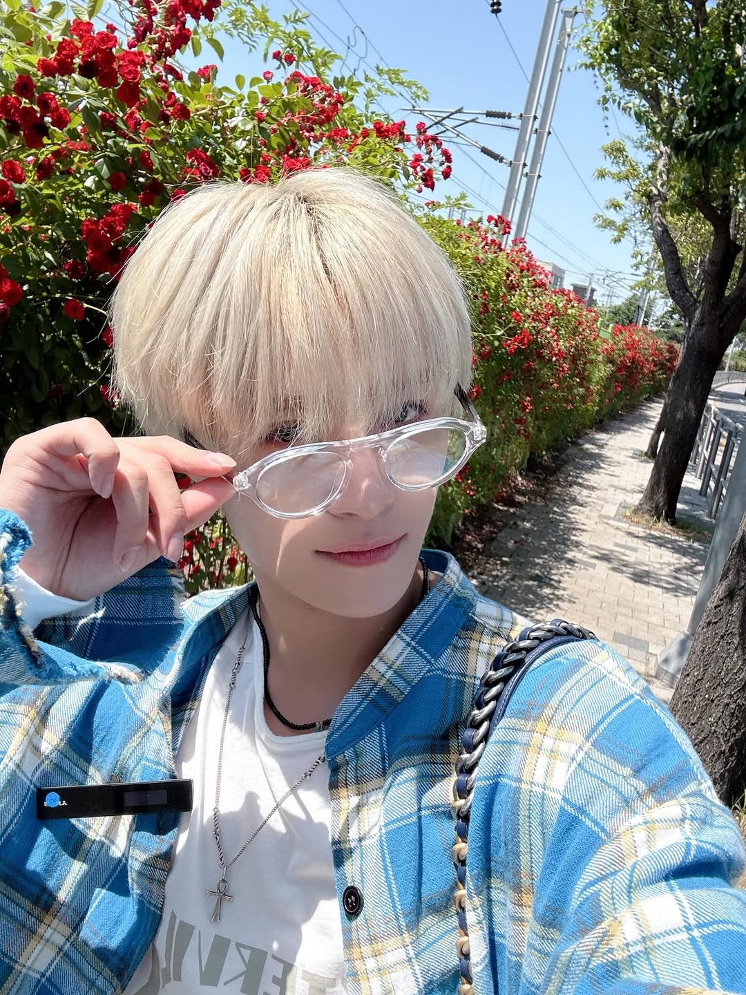 Photo by YangYang 양양 on July 04, 2025.