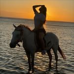 nanashino_lei2 프로필 사진