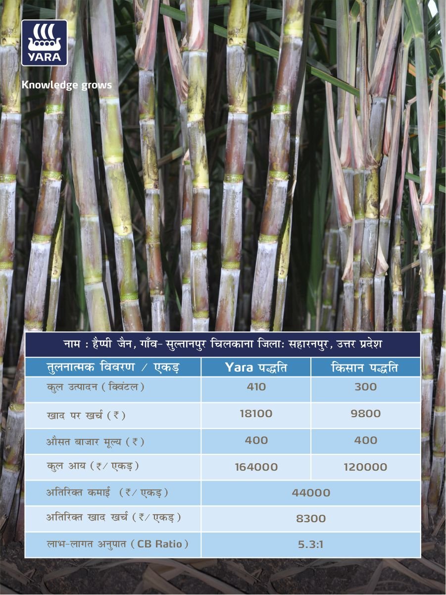 yaraindiaofficial 게시물 이미지: 🌾 𝐆𝐫𝐨𝐰 𝐰𝐢𝐭𝐡 𝐘𝐚𝐫𝐚 🌾

सहारनपुर, उत्तर प्रदेश के...
