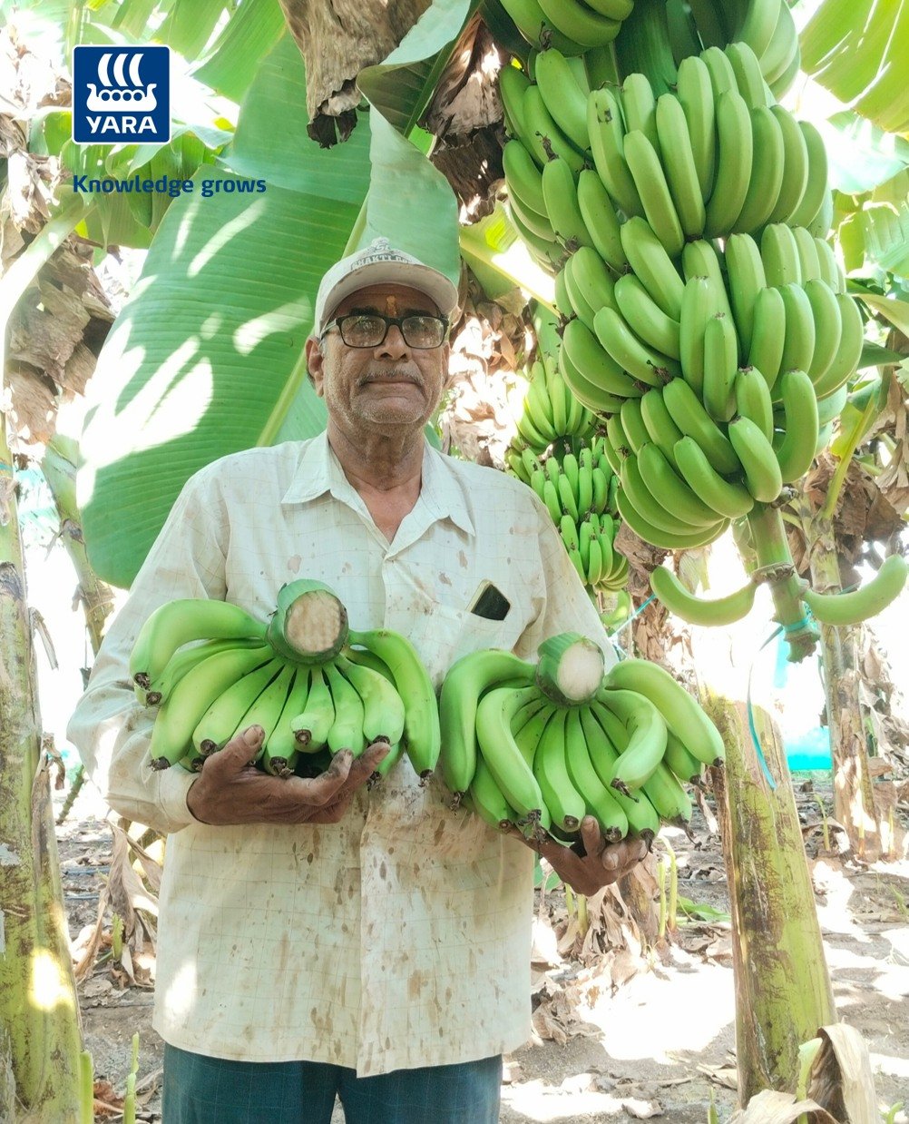 yaraindiaofficial 게시물 이미지: 🍌𝐆𝐫𝐨𝐰 𝐰𝐢𝐭𝐡 𝐘𝐚𝐫𝐚 🍌

धर्मराज दौलत पाटील हे जळगाव...